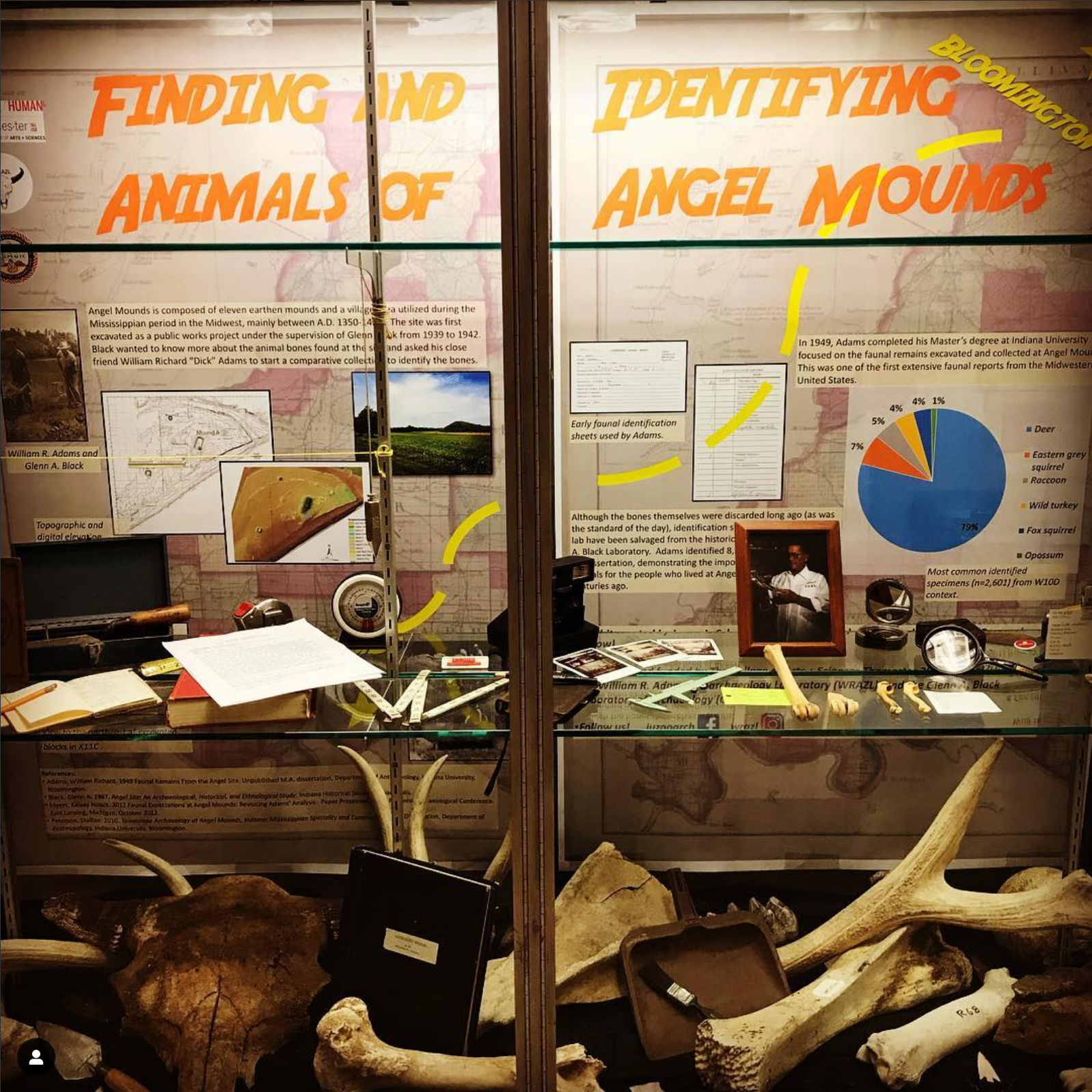 A display about identifying animals at Angel Mounds