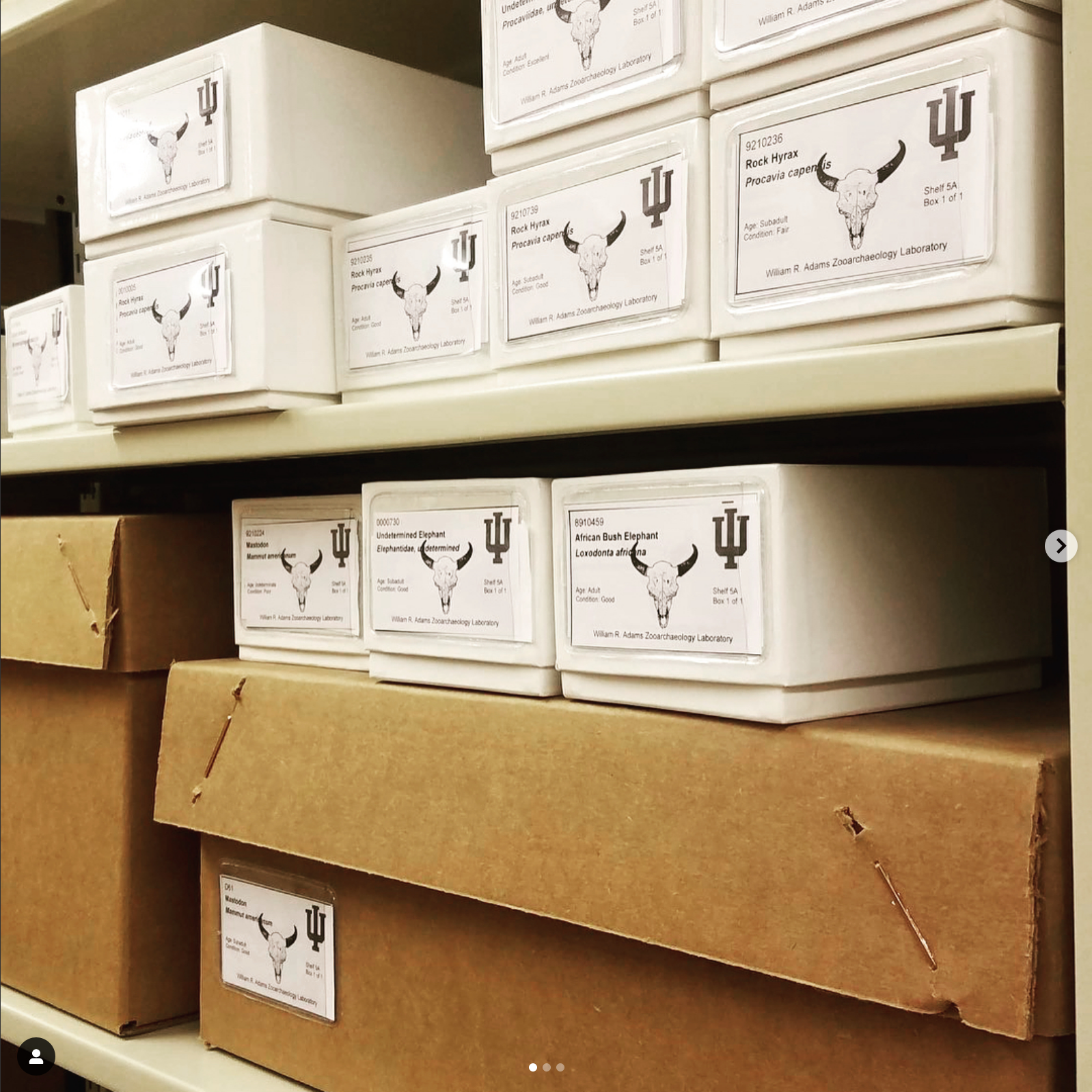 Archival quality boxes with large labels