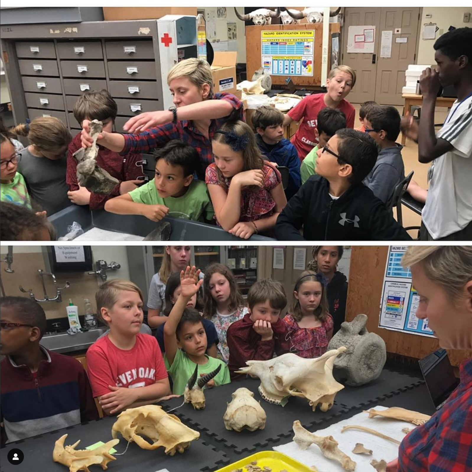 A group of small children looking at animal bones